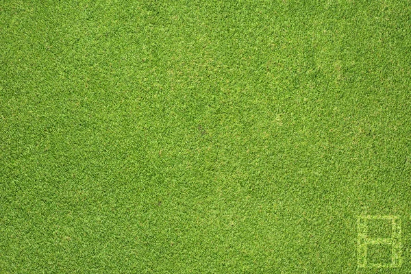 Film på grönt gräs textur och bakgrund — Stockfoto