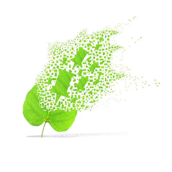 Зелений лист шпильки на білому тлі — стокове фото