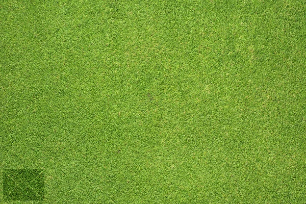 Icône de courrier sur l'herbe verte texture et fond — Photo