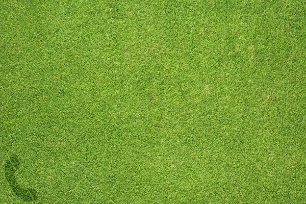 Telefonikonen på grönt gräs textur och bakgrund — Stockfoto