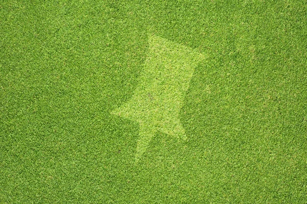 Broche sur l'herbe verte texture et fond — Photo