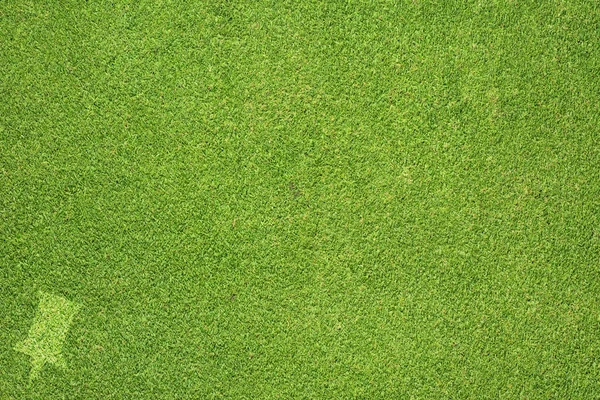 PIN op groen gras textuur en achtergrond — Stockfoto