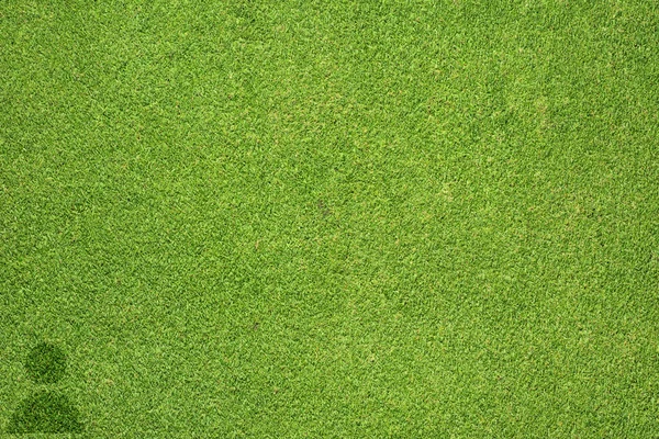 Ícone de homem na textura de grama verde e fundo — Fotografia de Stock
