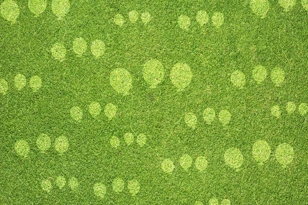 Balloon on green grass texture and background — Stock Photo, Image