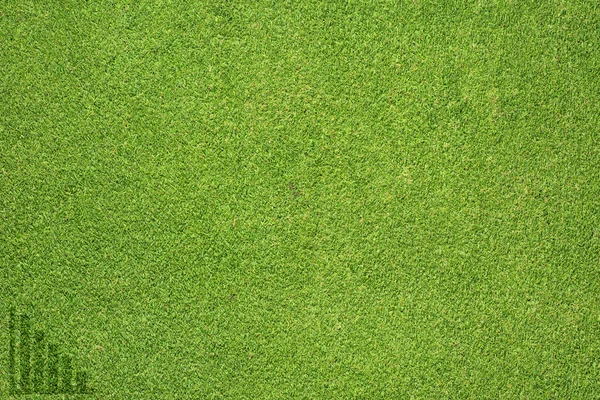 Graph icon on green grass texture and background — Stock Photo, Image