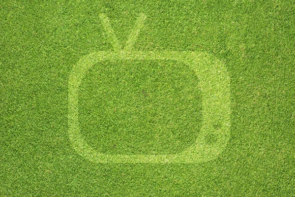 Icona della televisione su erba verde texture e sfondo — Foto Stock
