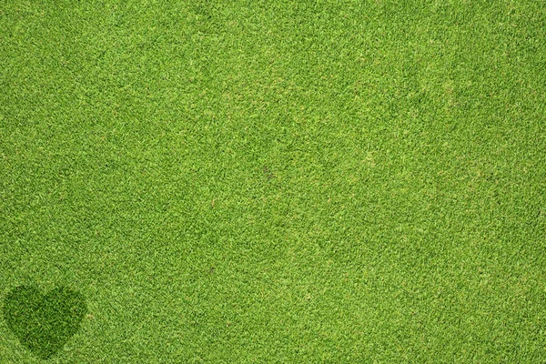Значок сердца на зеленой текстуре травы и фоне — стоковое фото