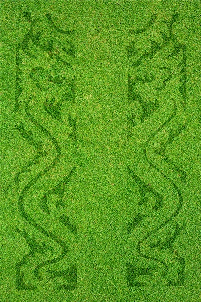 Drachen-Symbol auf grünem Gras Textur und Hintergrund — Stockfoto
