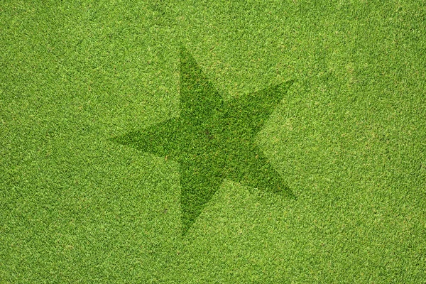 Star icon on green grass texture and background — Stock Photo, Image