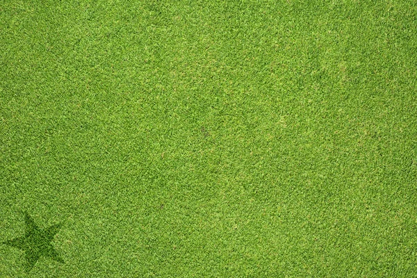 Значок звезды на зеленой текстуре травы и фоне — стоковое фото