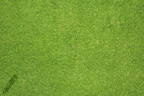 Potloodpictogram op groen gras textuur en achtergrond — Stockfoto