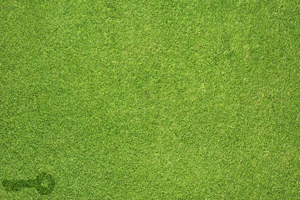 Icône clé sur l'herbe verte texture et fond — Photo