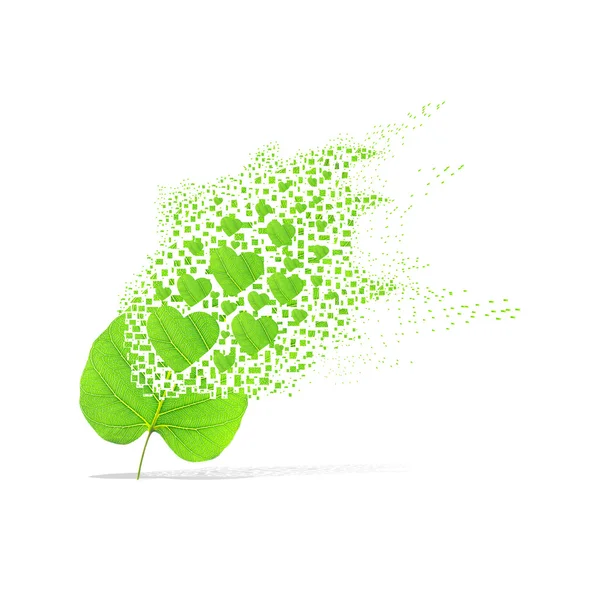 Kalp beyaz zemin üzerine yeşil yaprak — Stok fotoğraf
