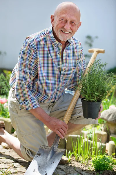 Hombre mayor Jardinería — Foto de Stock