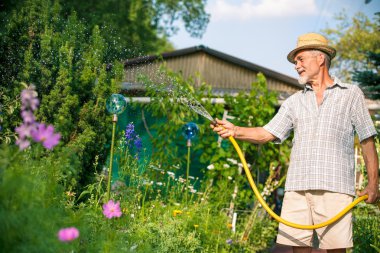 Watering the garden clipart