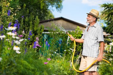 Watering the garden clipart