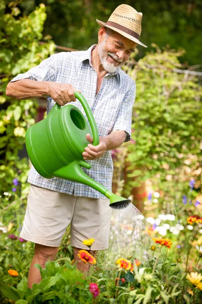 Bewässerung der Blumen im Garten — Stockfoto