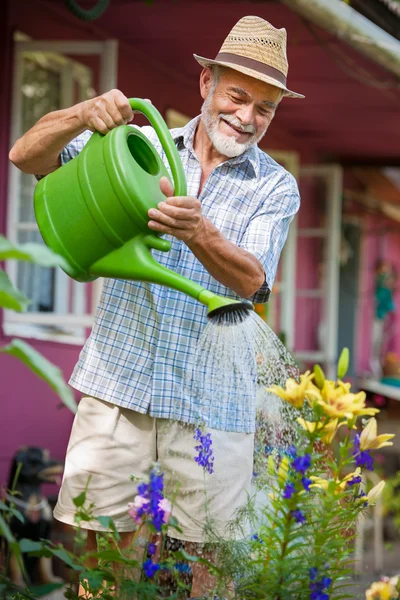 Watering the flowers in the garden — Stock Photo, Image