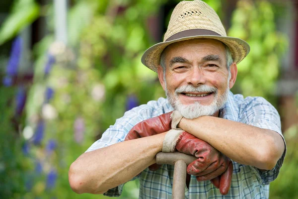 Старший садовник с лопатой — стоковое фото