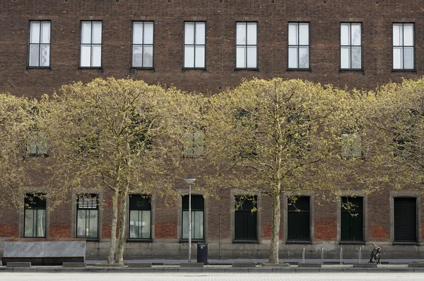 春天树木和砖、 鹿特丹 — 图库照片