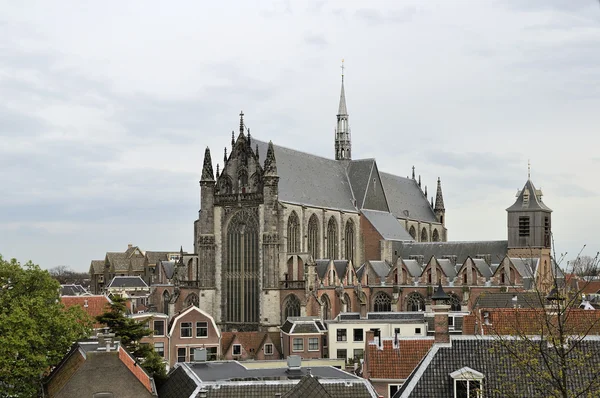 Pieterskerk 및 지붕, 레이 든 — 스톡 사진