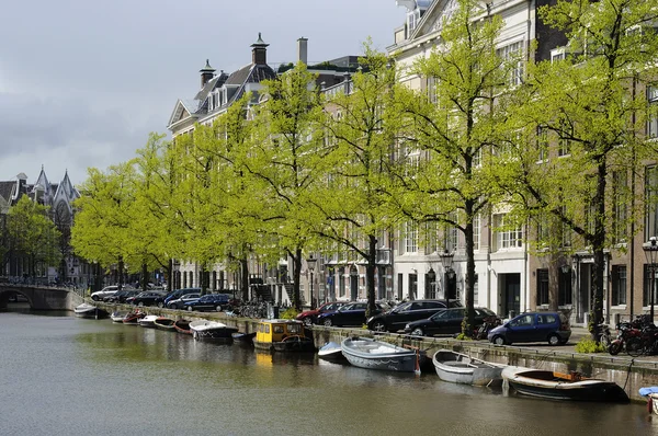 Spring leaves on embankment, amsterdam — Stock Photo, Image