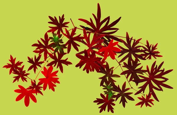 Galhos com folhas vermelhas de outono fundo verde — Fotografia de Stock