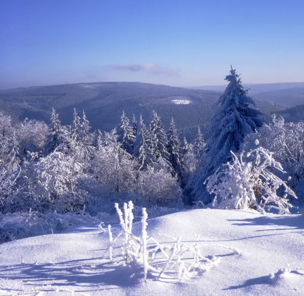 Snö och rimfrost i högländerna 01 — Stockfoto