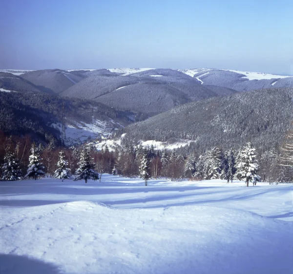 Panoramatický pohled zimy v nízké hory 01 — Stock fotografie