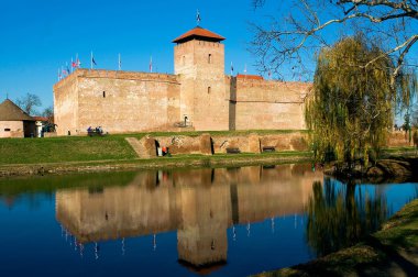 Castle of city Gyula in Hungary clipart