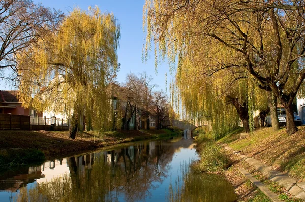 La ribera del río Kjalá en Gyula — Foto de Stock