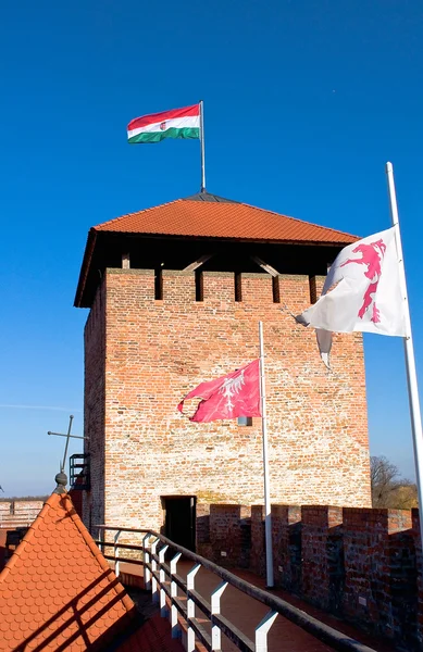 Torre del castello Gyula — Foto Stock