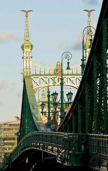 Il ponte Franz-Josef — Foto Stock