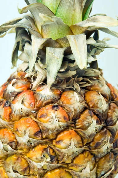 Close-up van een ananas — Stockfoto