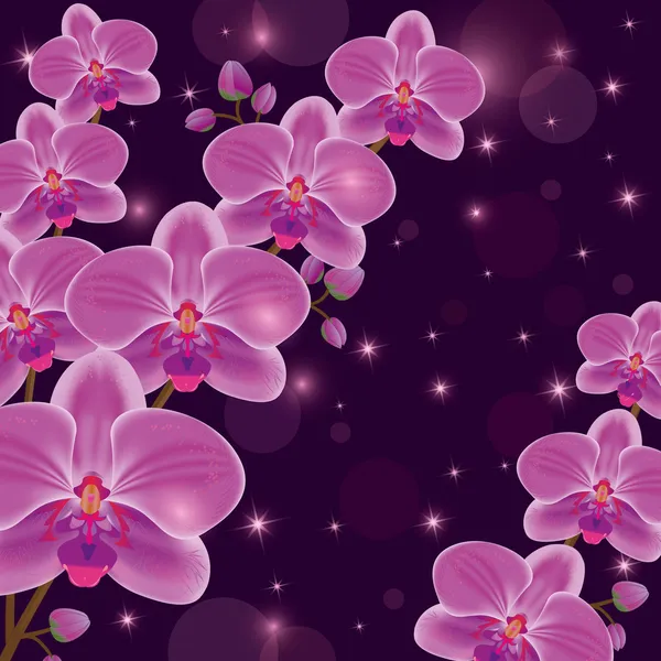 Luminosa invitación o tarjeta de felicitación con orquídeas — Vector de stock