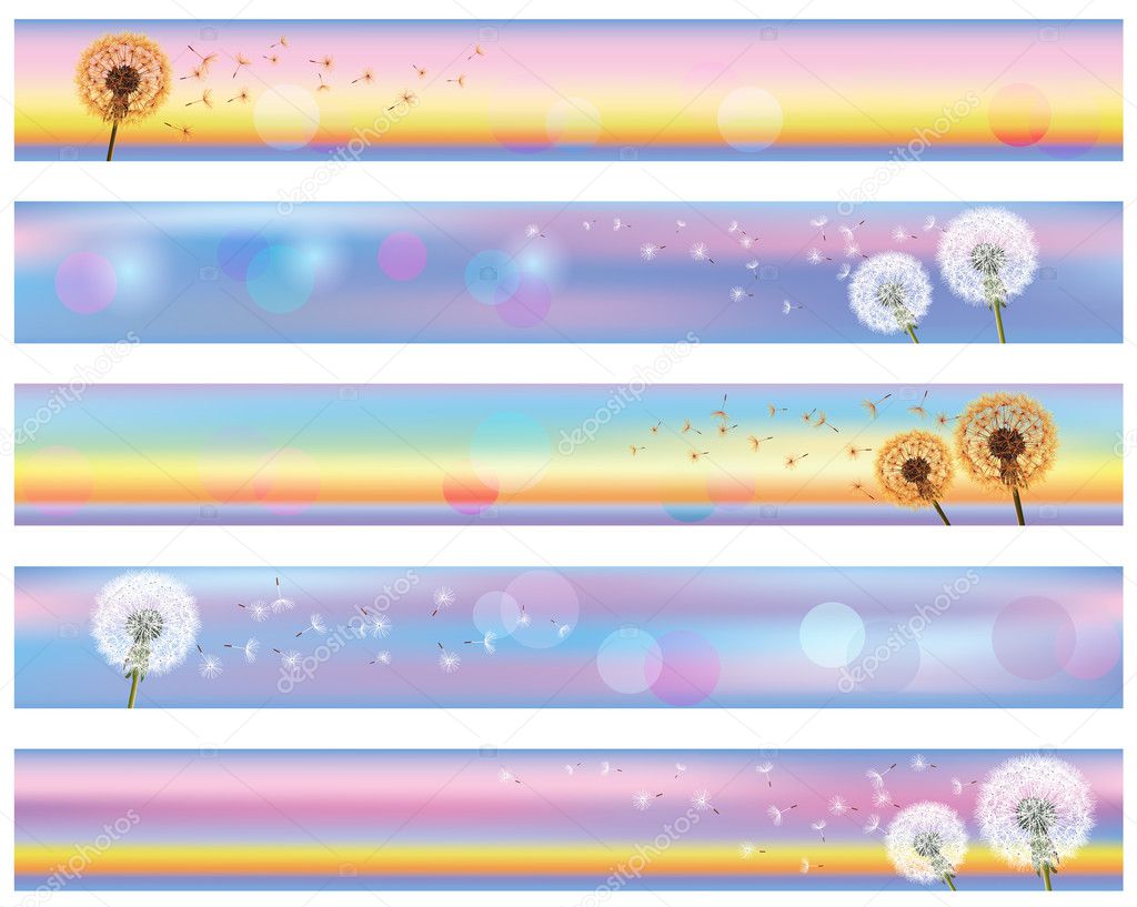 Set of horizontal floral banners with flower dandelion