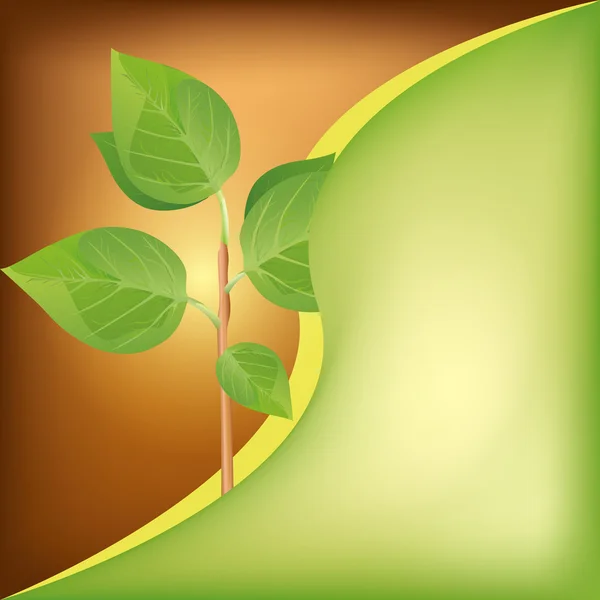 Fondo ecológico con planta verde fresca — Archivo Imágenes Vectoriales