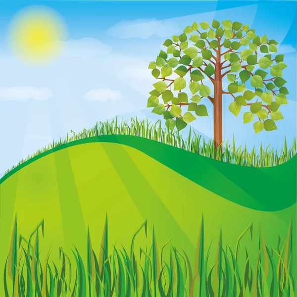Летний или весенний фон с зеленым деревом — стоковый вектор