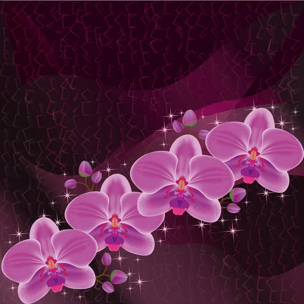 Tarjeta de invitación o saludo rojo oscuro con orquídea — Vector de stock