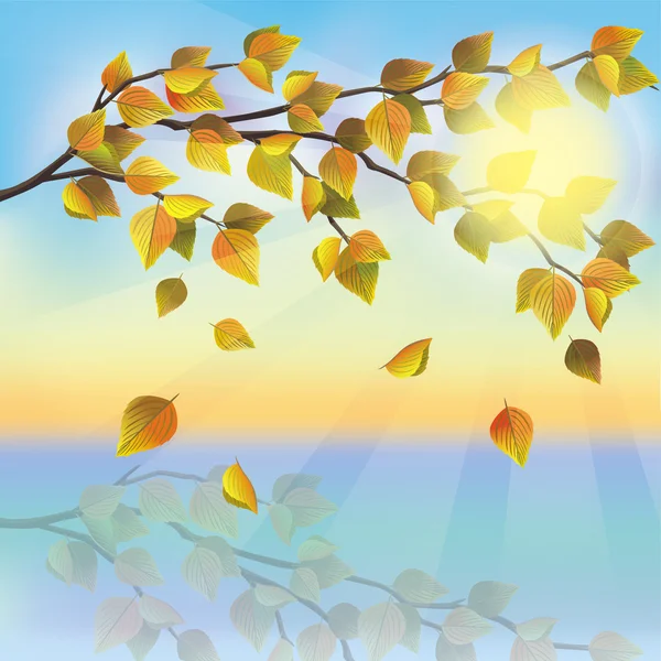 Осеннее дерево на фоне заката — стоковый вектор