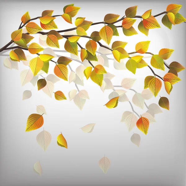 Autumn tree with flying leaves, nature background — Stock Vector