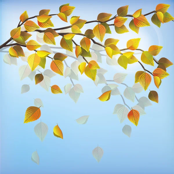 Autumn tree, nature background — Stock Vector
