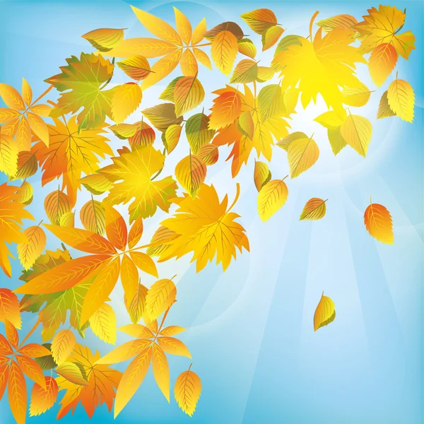 Herfst bladeren, natuur achtergrond — Stockvector