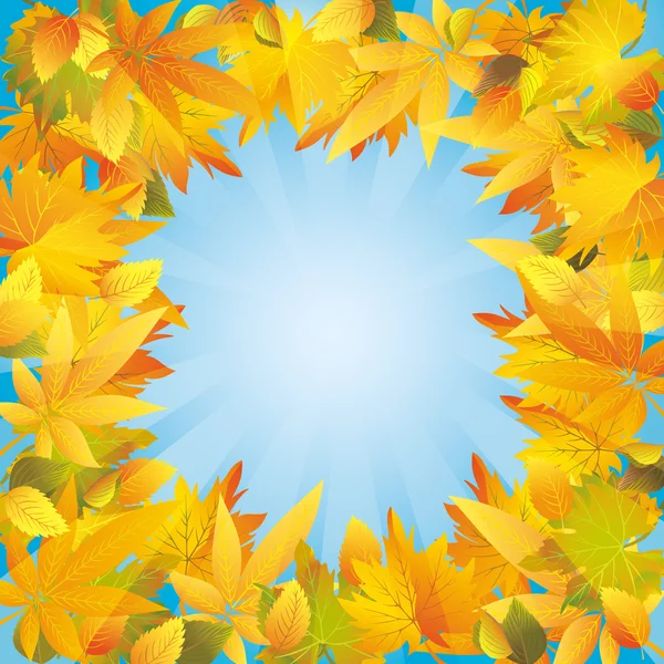 Autumn leaves frame, nature background — Stock Vector