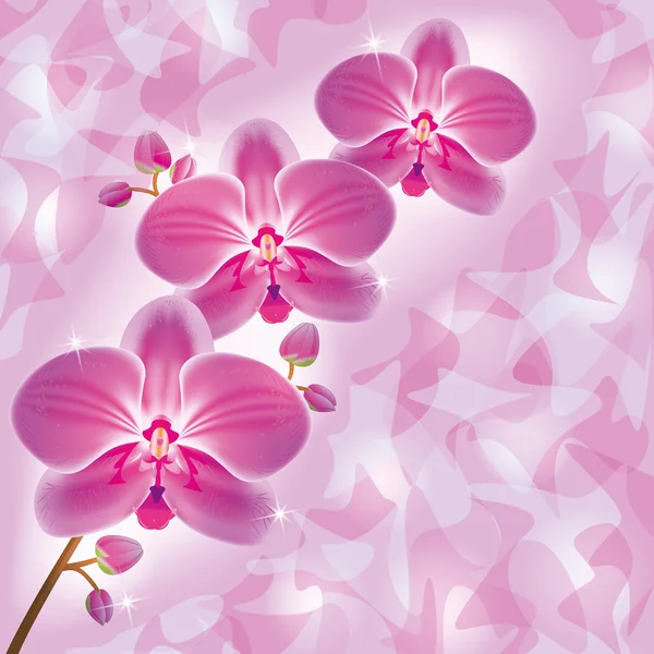 Приглашение или поздравительная открытка с орхидеей в стиле гранж — стоковый вектор