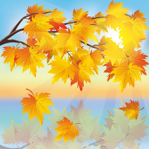 Árvore de outono bordo no fundo do pôr do sol — Vetor de Stock