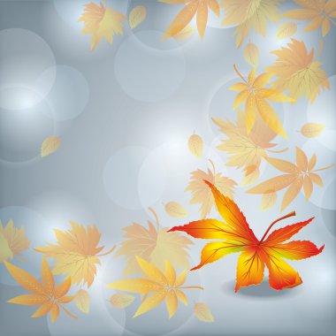 Autumn leaf fall, nature background clipart