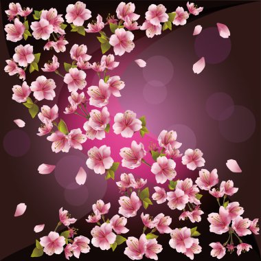 Background with sakura - Japanese cherry tree, vector clipart