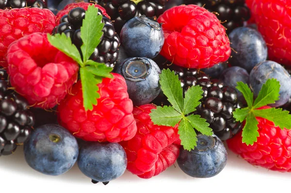 stock image Berries