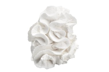 Whipped cream clipart